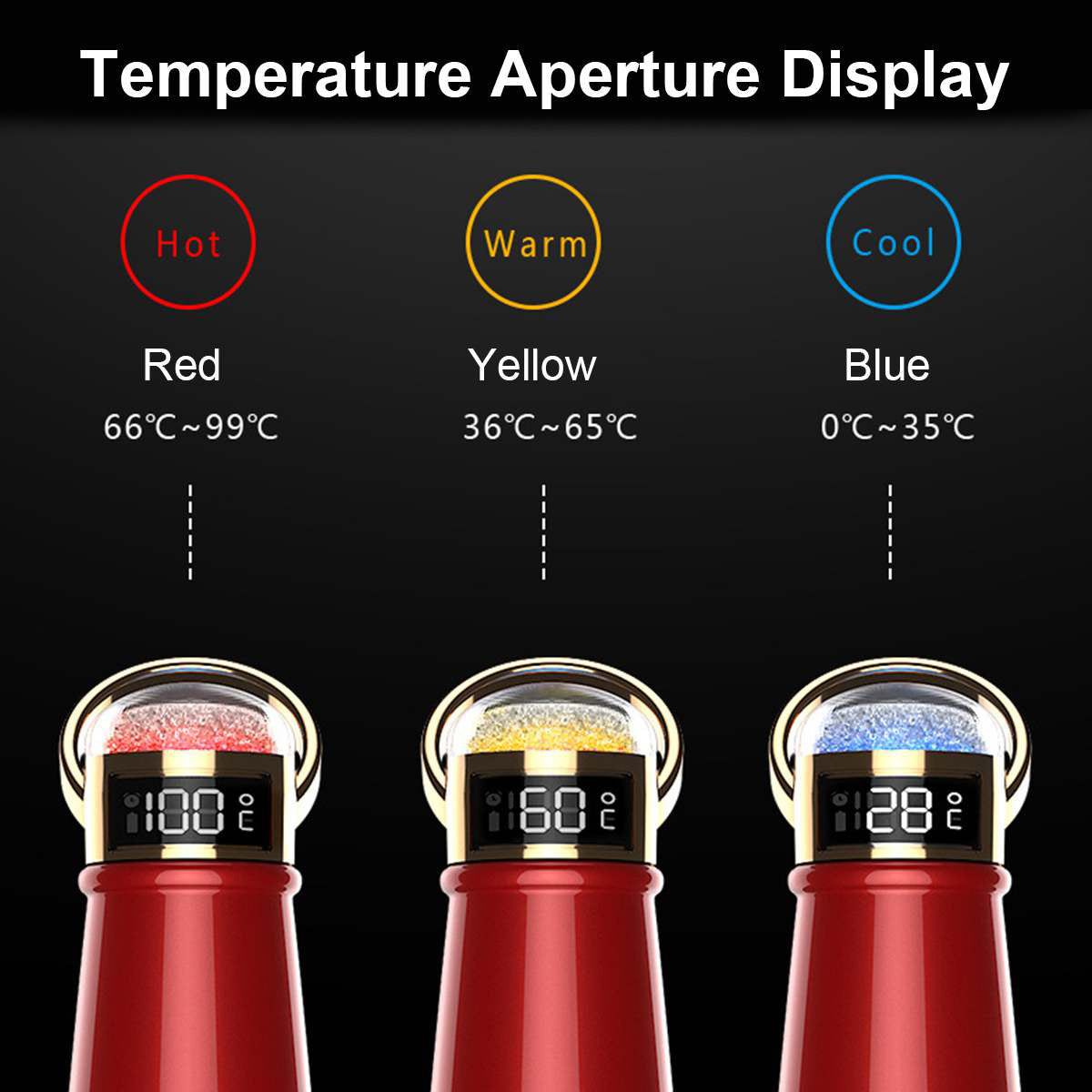 Large Capacity Thermos with LED Temperature Display